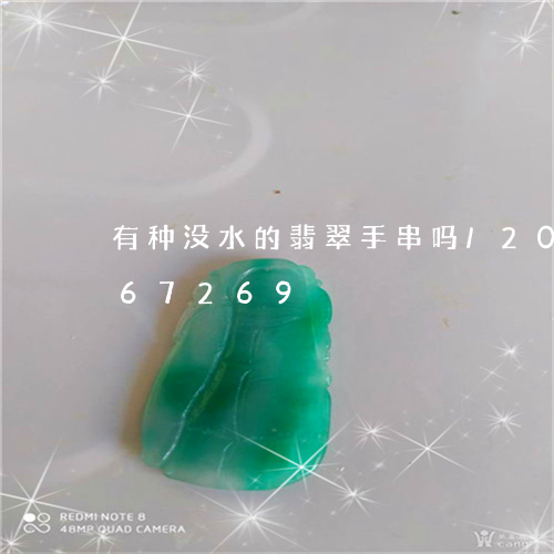 有种没水的翡翠手串吗/2023112467269