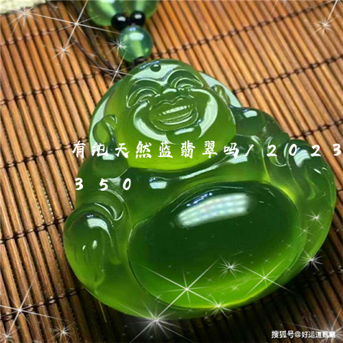 有纯天然蓝翡翠吗/2023033043350