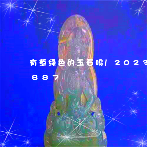 有草绿色的玉石吗/2023042745887