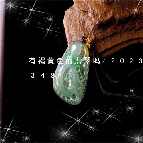 有褐黄色的翡翠吗/2023033025348