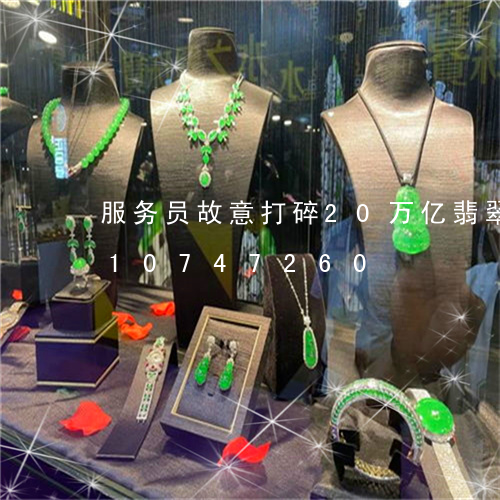 服务员故意打碎20万亿翡翠/2023110747260