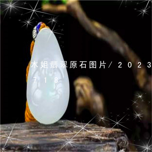 木姐翡翠原石图片/2023033006718