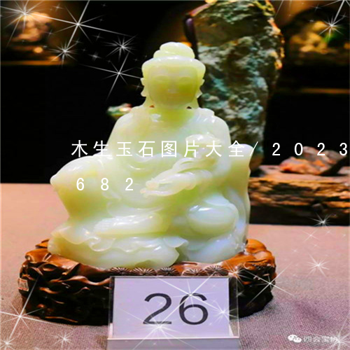 木生玉石图片大全/2023033097682