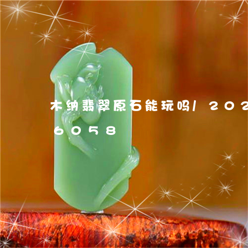 木纳翡翠原石能玩吗/2023120596058