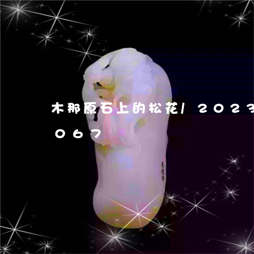 木那原石上的松花/2023033015067