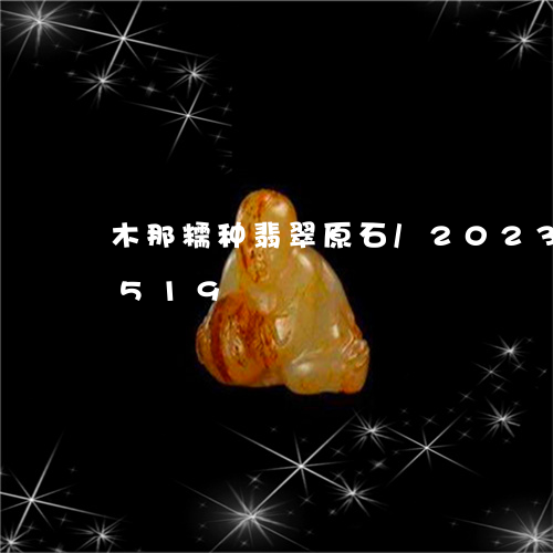 木那糯种翡翠原石/2023033092519