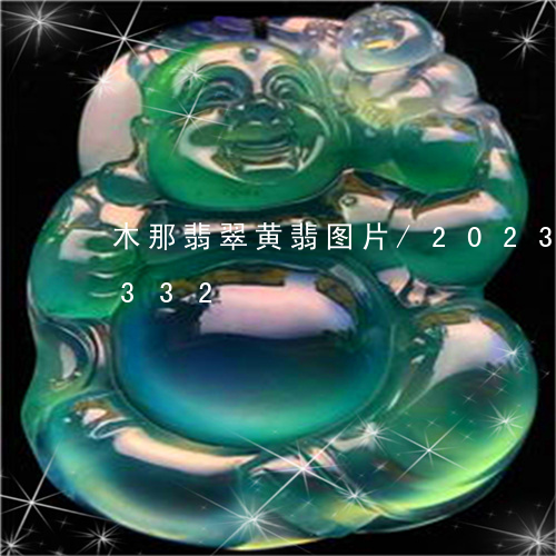 木那翡翠黄翡图片/2023033003332