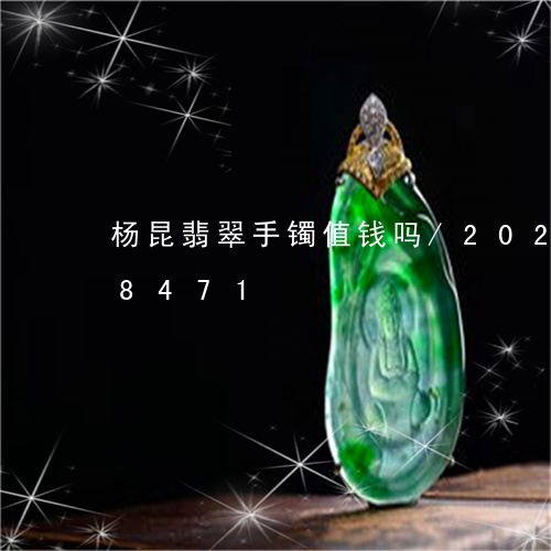 杨昆翡翠手镯值钱吗/2023102528471