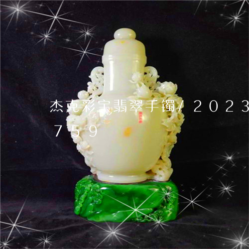 杰克彩宝翡翠手镯/2023033068759