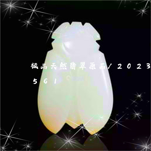 极品天然翡翠原石/2023033035561