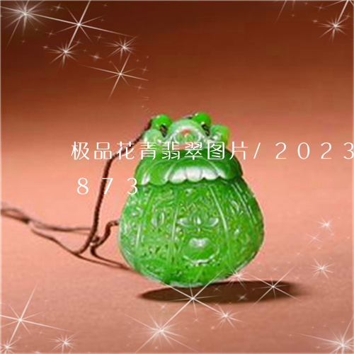 极品花青翡翠图片/2023033039873