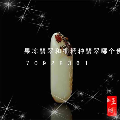 果冻翡翠和细糯种翡翠哪个贵/2023070928361