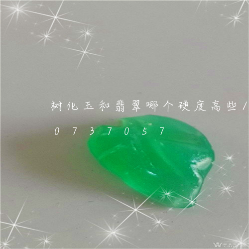 树化玉和翡翠哪个硬度高些/2023110737057