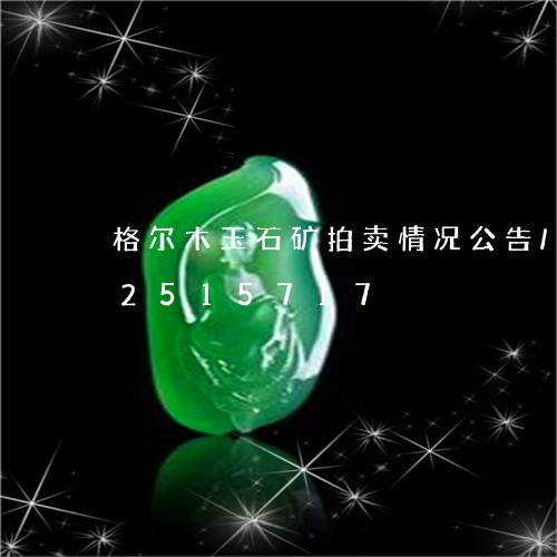 格尔木玉石矿拍卖情况公告/2023112515717