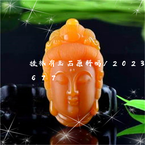 桂林有玉石原料吗/2023033177677