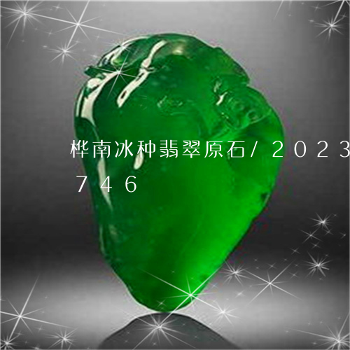 桦南冰种翡翠原石/2023033127746