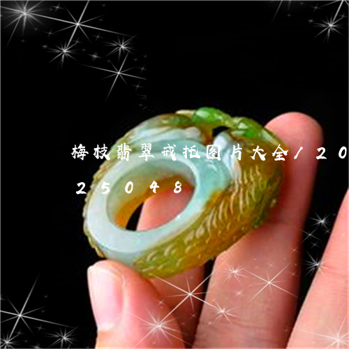 梅枝翡翠戒托图片大全/2023112325048