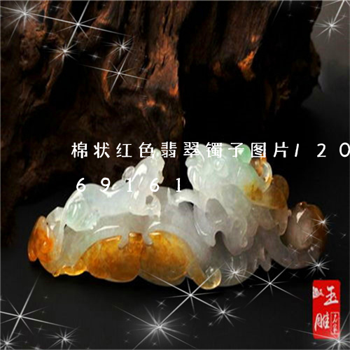 棉状红色翡翠镯子图片/2023112469161