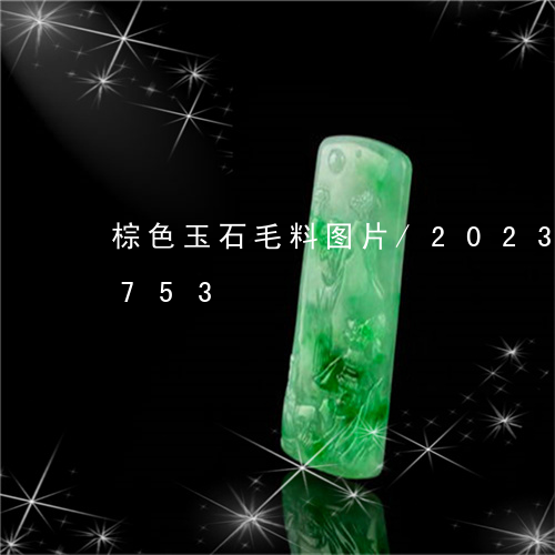 棕色玉石毛料图片/2023033135753