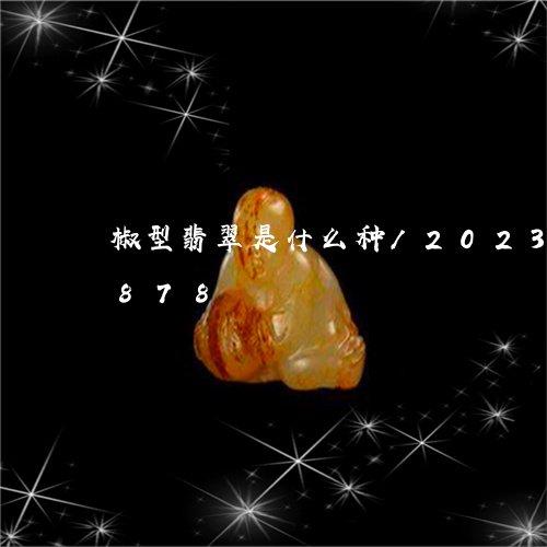 椒型翡翠是什么种/2023033134878