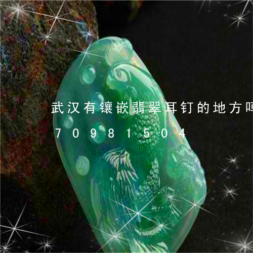 武汉有镶嵌翡翠耳钉的地方吗/2023070981504