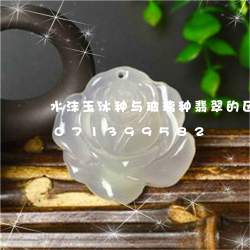 水沫玉冰种与玻璃种翡翠的区分/2023071399582