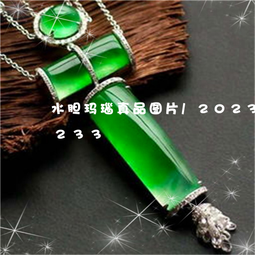 水胆玛瑙真品图片/2023033156233