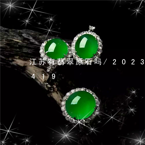 江苏有翡翠原石吗/2023033130419