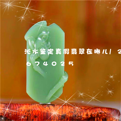 沁水鉴定真假翡翠在哪儿/2023111674025