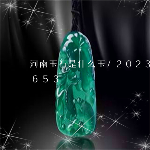 河南玉石是什么玉/2023033014653