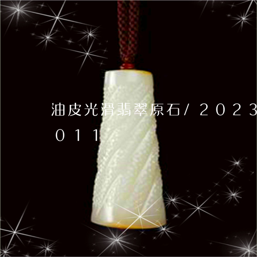 油皮光滑翡翠原石/2023033092011