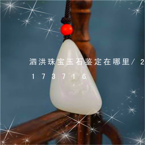 泗洪珠宝玉石鉴定在哪里/2023110173716