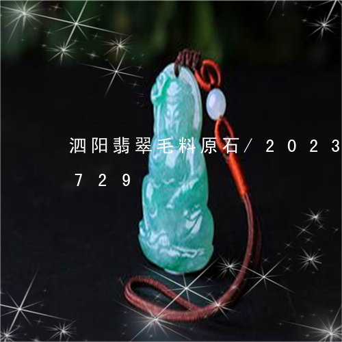 泗阳翡翠毛料原石/2023033084729