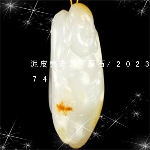 泥皮壳老翡翠原石/2023033014742