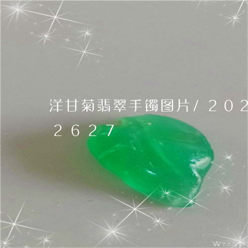 洋甘菊翡翠手镯图片/2023102522627