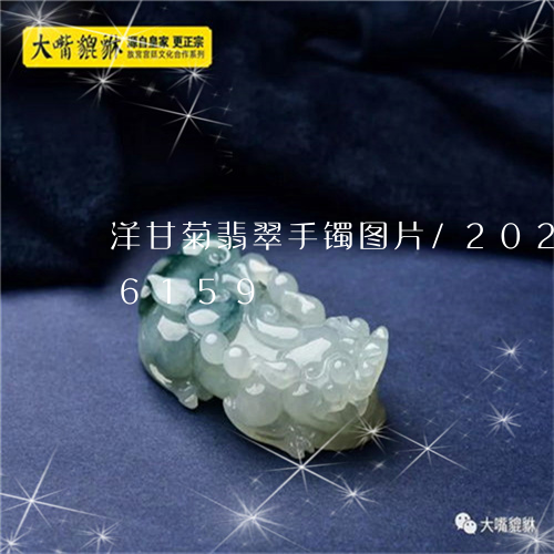 洋甘菊翡翠手镯图片/2023102556159