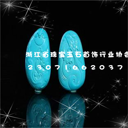 浙江省珠宝玉石首饰行业协会怎么样/2023071662037