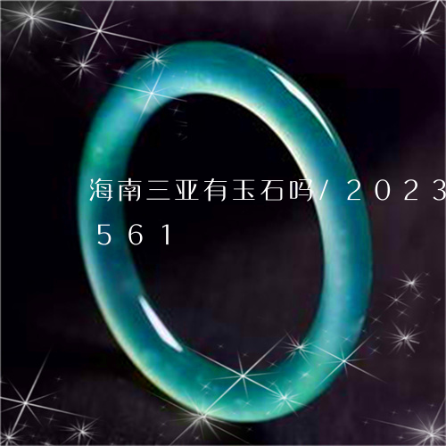 海南三亚有玉石吗/2023033082561