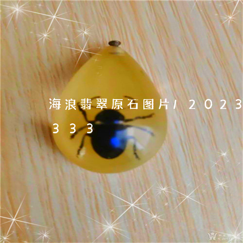 海浪翡翠原石图片/2023033020333