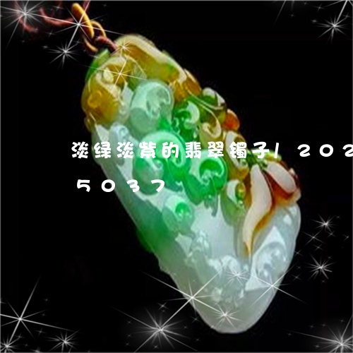 淡绿淡紫的翡翠镯子/2023102535037