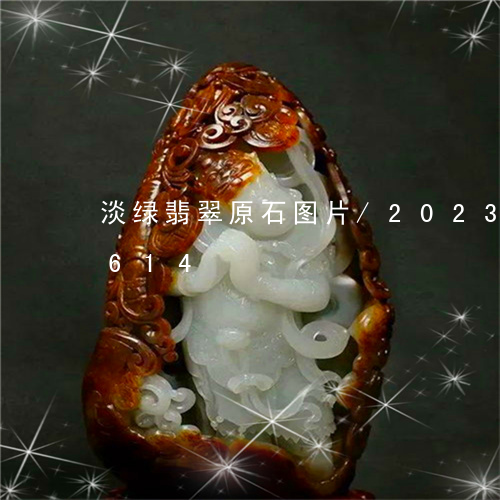 淡绿翡翠原石图片/2023121558614