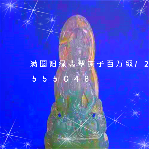 满圈阳绿翡翠镯子百万级/2023112555048