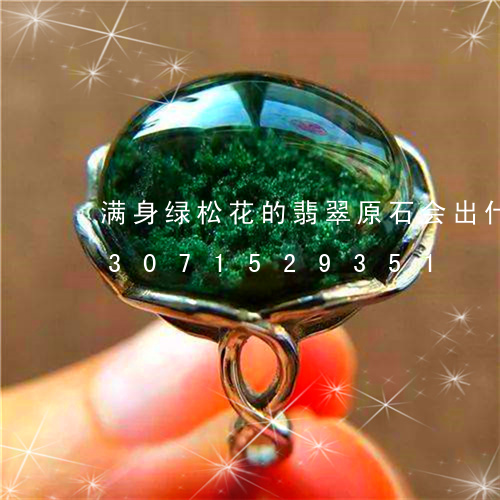 满身绿松花的翡翠原石会出什么种/2023071529351