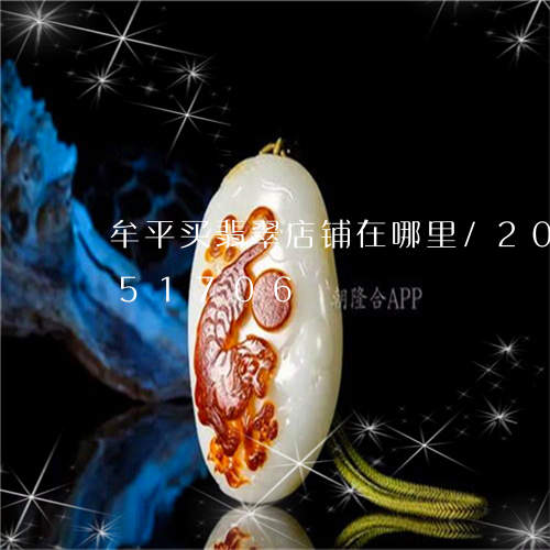 牟平买翡翠店铺在哪里/2023120651706