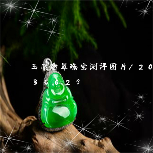 玉丽翡翠珠宝测评图片/2023120836029