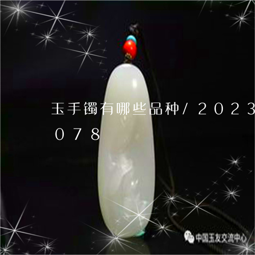 玉手镯有哪些品种/2023042516078