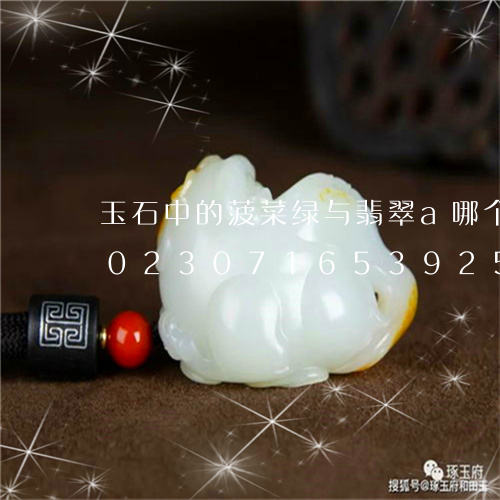 玉石中的菠菜绿与翡翠a哪个更好一点/2023071653925