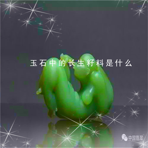 玉石中的长生籽料是什么