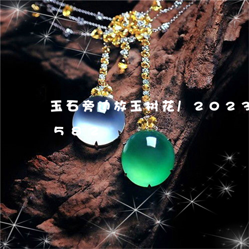 玉石旁边放玉树花/2023081197582