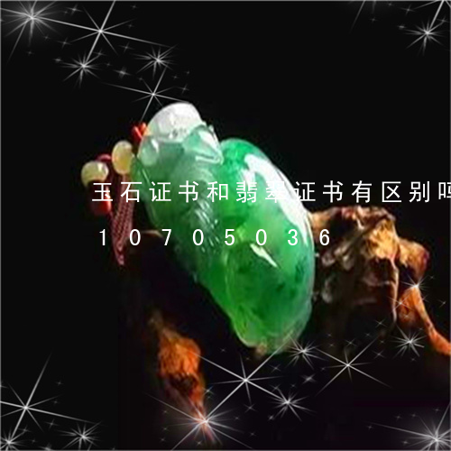 玉石证书和翡翠证书有区别吗/2023110705036